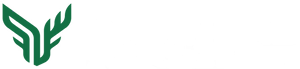 Buckhead Auto Group