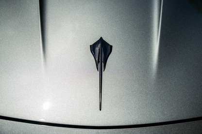 Corvette C8 (Grey)